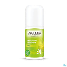 Afbeelding in Gallery-weergave laden, mediPimId:647478:1781612687