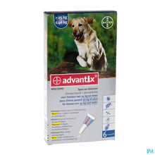 Afbeelding in Gallery-weergave laden, mediPimId:14261:1728393720