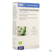 Charger l'image dans la galerie, mediPimId:176030:1728474829