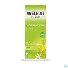Afbeelding in Gallery-weergave laden, mediPimId:647505:1781613349