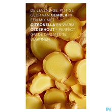 Load image into Gallery viewer, mediPimId:647293:1781592973