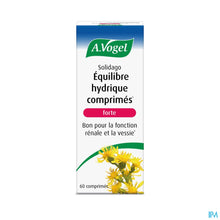 Charger l'image dans la galerie, mediPimId:231428:1728553561