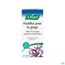 Charger l'image dans la galerie, mediPimId:212264:1728550661