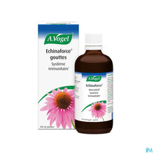 Afbeelding in Gallery-weergave laden, mediPimId:205198:1728549786