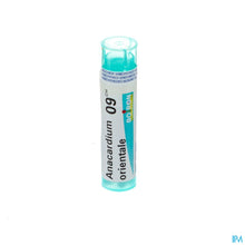Charger l'image dans la galerie, mediPimId:65339:1728461681