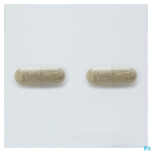 Afbeelding in Gallery-weergave laden, mediPimId:90731:1728465173
