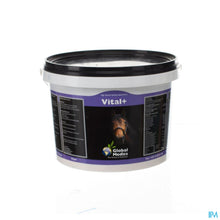 Afbeelding in Gallery-weergave laden, mediPimId:86443:1728464487