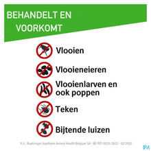 Afbeelding in Gallery-weergave laden, mediPimId:227548:1728553070