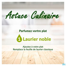Charger l'image dans la galerie, mediPimId:255951:1728557132