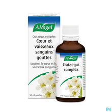 Afbeelding in Gallery-weergave laden, mediPimId:223674:1728552464