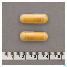 Charger l'image dans la galerie, mediPimId:151071:1728471777