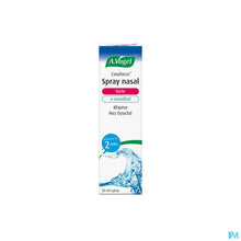 Afbeelding in Gallery-weergave laden, mediPimId:205157:1728549777