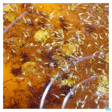 Afbeelding in Gallery-weergave laden, mediPimId:583280:1755783068
