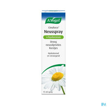 Afbeelding in Gallery-weergave laden, mediPimId:212246:1728550656