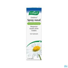 Afbeelding in Gallery-weergave laden, mediPimId:212250:1728550658