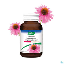 Afbeelding in Gallery-weergave laden, mediPimId:227352:1728553038