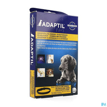 Charger l'image dans la galerie, mediPimId:149722:1728471573