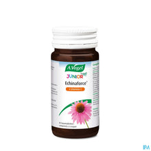 Afbeelding in Gallery-weergave laden, mediPimId:205183:1728549783