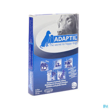Afbeelding in Gallery-weergave laden, mediPimId:24365:1728394917