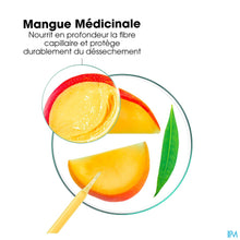 Charger l'image dans la galerie, mediPimId:653727:1782870789
