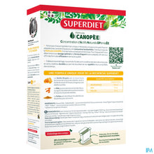 Afbeelding in Gallery-weergave laden, mediPimId:355067:1783614256