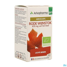 Afbeelding in Gallery-weergave laden, mediPimId:181290:1728475543