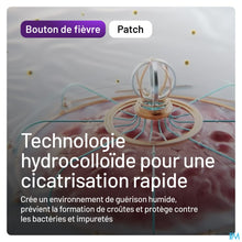 Charger l'image dans la galerie, mediPimId:617160:1770289094