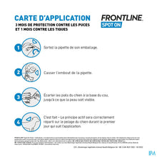 Charger l'image dans la galerie, mediPimId:227660:1728553094
