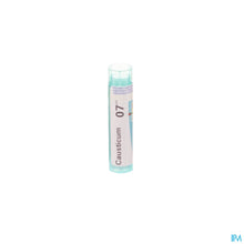 Charger l'image dans la galerie, mediPimId:58247:1728460924
