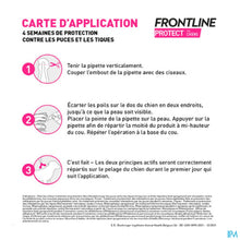 Charger l'image dans la galerie, mediPimId:227555:1728553071
