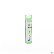 Charger l'image dans la galerie, mediPimId:42891:1728459084
