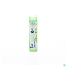 Afbeelding in Gallery-weergave laden, mediPimId:42805:1728459075
