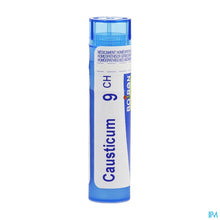 Afbeelding in Gallery-weergave laden, mediPimId:138914:1728470090
