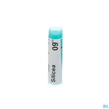 Charger l'image dans la galerie, mediPimId:65265:1728461671
