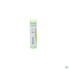 Charger l'image dans la galerie, mediPimId:58051:1728460901
