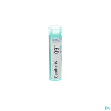 Charger l'image dans la galerie, mediPimId:58238:1728460923
