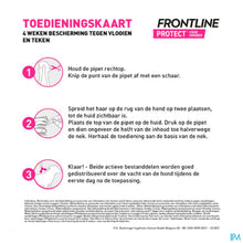 Afbeelding in Gallery-weergave laden, mediPimId:227529:1728553065
