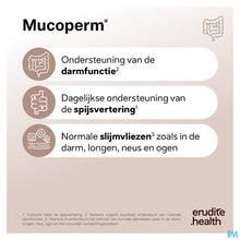 Afbeelding in Gallery-weergave laden, mediPimId:658032:1785165553
