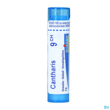 Charger l'image dans la galerie, mediPimId:208667:1728550199

