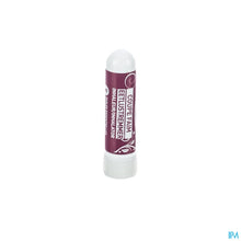 Charger l'image dans la galerie, mediPimId:33319:1728458184
