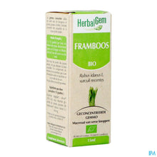Afbeelding in Gallery-weergave laden, mediPimId:248141:1728556250

