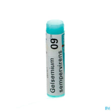 Afbeelding in Gallery-weergave laden, mediPimId:80209:1728463725
