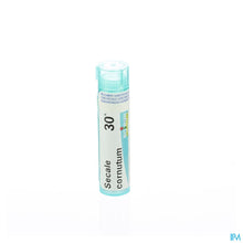 Afbeelding in Gallery-weergave laden, mediPimId:42905:1728459085
