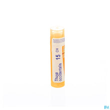 Charger l'image dans la galerie, mediPimId:42823:1728459077
