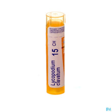 Charger l'image dans la galerie, mediPimId:80160:1728463718
