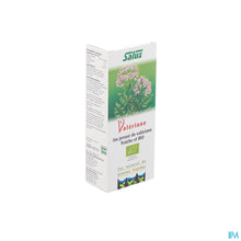 Afbeelding in Gallery-weergave laden, mediPimId:37977:1728458723
