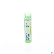 Charger l'image dans la galerie, mediPimId:42876:1728459083
