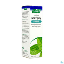 Afbeelding in Gallery-weergave laden, mediPimId:203327:1728549592
