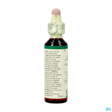 Afbeelding in Gallery-weergave laden, mediPimId:268797:1728558984
