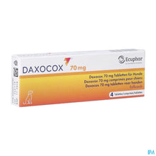 Charger l'image dans la galerie, mediPimId:584751:1756971385

